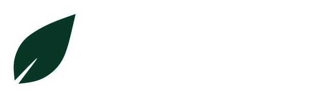 Digital Care Collective